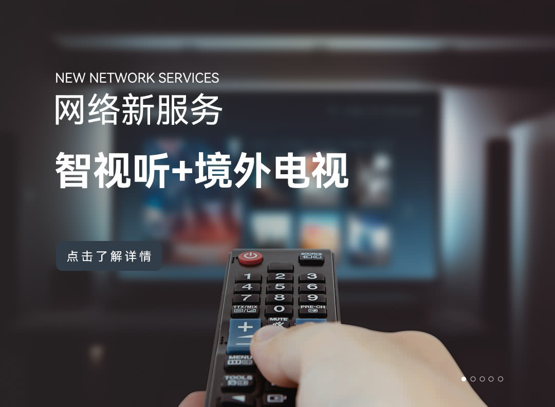 智视听+境外电视